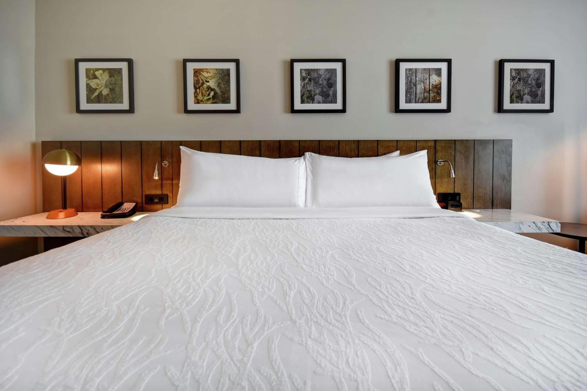 Hilton Garden Inn Джексон Экстерьер фото